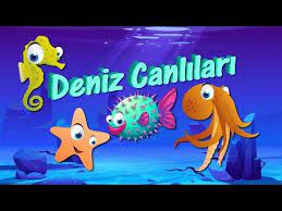 deniz hayvanlari taniyalim deniz canlilari ogreniyoruz denizde yasayan canlilar hayvanlar youtube hayvanlar hayvan bebek oyun