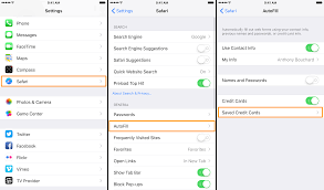 Launch safari on your mac from your dock or applications folder. How To Remove Your Credit Card Information From Your Iphone