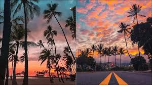 Hawaii reported many deaths that had occurred between august and december based on a review of records. Hawaii Allows Travellers To Skip 14 Day Quarantine If Tested Negative For Covid 19 On Arrival Travel Hindustan Times