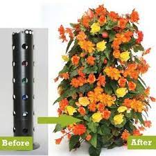 Pin On Plantas