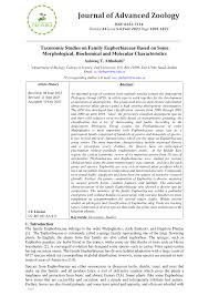 Image result for Monadenium filiforme