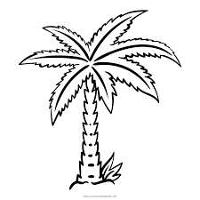 Palma Desenho Para Colorir Ultra Coloring Pages