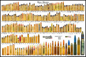 Big Bore Bullet Poster Cartridge Comparison