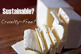 Our brands are certified, trusted, scrutinised, awarded, applauded and absolutely vegan food online. An Inconvenient Truth Vegan Products And Palm Oil One Green Planet
