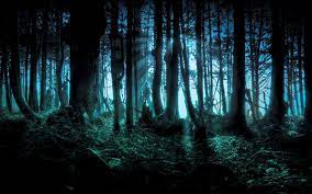 Perfect for musicals, recitals & events. Spooky Forest Wallpapers Top Free Spooky Forest Backgrounds Wallpaperaccess
