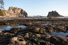 It is adjacent to mora campground in the olympic national p. Rialto Beach Hole In The Wall Hike 734