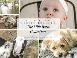 Meredith Grace Presets