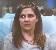 Jessy Schram's Dr. Hannah Asher is gearing up for another big season of  Chicago Med — and Dr. Mitch Ripley will play a major factor in her story  line.