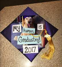 21 Graduation Caps That Are Truly Truly Extra High School Graduation Cap Decoration High School Graduation Cap Graduation Cap Decoration