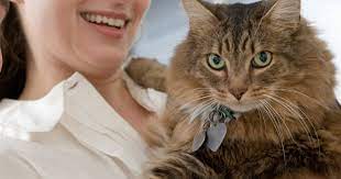 Each household may obtain services for up to three dogs and three cats. Purrfect Pals Free Spay Neuter Voucher Program
