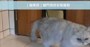 kk 貓東西 貓門到府安裝服務 youtube