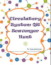 Circulatory System Qr Scavenger Hunt Circulatory System Teaching Biology Secondary School Science