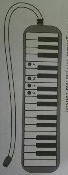 Akordion ini serupa organ, namun bentuknya relatif kecil sehingga untuk memainkan alat. F Perhatikan Gambar Tuts Pianika Berikut1 Bagian A Merupakan Nada2 Bagian B Merupakan Nada3 Brainly Co Id