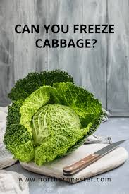Check spelling or type a new query. Can You Freeze Cabbage Northern Nester