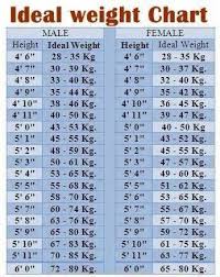 ideal weight chart for everyone ideal weight health