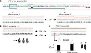 Snps on the snp array 6.0 were screened in more than 500 distinct samples, including 270 hapmap samples and separate diversity samples. Detection And Confirmation Of Snp Array Results In Patients With Mds Download Scientific Diagram