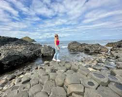 Image result for ireland giant's causeway