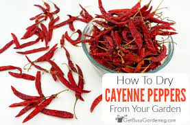 4 Ways To Dry Cayenne Peppers To Avoid Mold Get Busy Gardening
