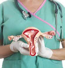 Setiap bulannya, hanya ada satu sel telur yang diproduksi, letaknya pun nggak. Memahami Perbezaan Dua Masalah Ketumbuhan Paling Digeruni Wanita Fibroid Sista Ovari Nona