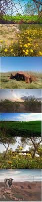 صور ملتقطة من مناطق مختلفة من الجلفة و هي تتغنى ببعض سحرها و جمالها بمناسبة قدوم الربيع natural landmarks landmarks capital city