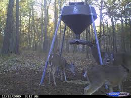 We did not find results for: Boss Buck 600 Protein Feeder Pictures Deer Feeders Best Deer Feeder Deer