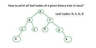 How To Print All Leaf Nodes Of Binary Tree In Java Binary Tree Java Binary