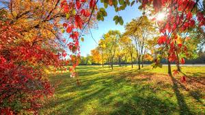 Beautiful Park Walkway Hd Wallpaper Download Beautiful Park Beautiful Nature Hd Wallpaper