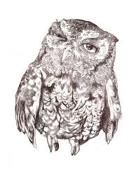 Screech Owl 8 X 10 Print Title Hairy Eyeball Etsy Owl Screech Owl Owl Art