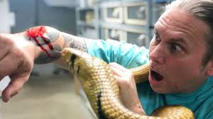 Maybe you would like to learn more about one of these? Surprise Big Snake Bite Chewed Me Bad Ouch Brian Barczyk Youtube