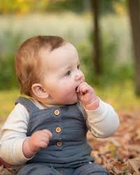 After a little pause from posting (but not taking photos) I'm back and  ready to share what I've been working on. And what better way to jump back  into action than a