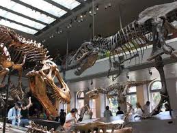 History Museum Los Angeles Buscar Con Google In 2020 Los Angeles Museum California Travel Road Trips History Museum