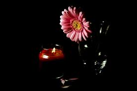 Maybe you would like to learn more about one of these? Flower And Candle Free Stock Photo Public Domain Pictures