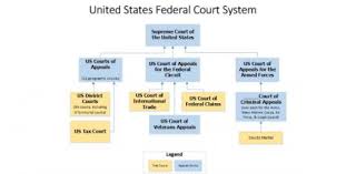 An update to google's expansive fact database has augmented its ability to answer questions about animals, plants, and more. Federal Judiciary Of The United States Trivia Quiz Proprofs Quiz