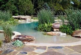 Schwimmteich Neigung Strand Ahnlich Natursteine Garten Pinterest Natural Swimming Pools Swimming Pools Und Backyard