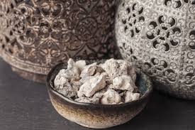 Image result for Copaifera