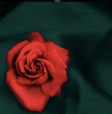 Maybe you would like to learn more about one of these? Are Kc Concepcion And Aly Borromeo Still Together Inquirer Entertainment