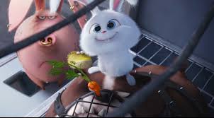  Pin Oleh Wfluvmoon Di Series Peliculas Kartun Animasi Hewan Lucu