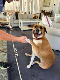 Huge Thanks to Her...