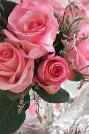 Pin By Halina Weimann On All Things Pink Flowers Beautiful Flowers Pretty Flowers