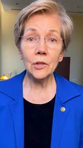 Elon Musk doesn't care about government efficiency