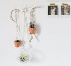 10 Diy Command Hook Ideas For The Garden Balcony Garden Web Plant Hooks Command Hooks Hanging Plant Wall