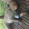 (lawak) ustaz kazim elias tiru p.ramlee dialog pendekar bujang lapok ~ tumpuk tumpuk taik unta mp3 duration 21:33 size 49.32 mb lawak pecah perut, bujang lapok baca surat mp3 duration 2:10 size 4.96 mb / myturbo power 9. 1