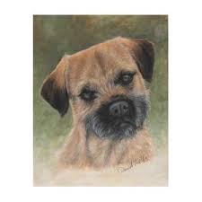 Border terrier clipart digital prints. Border Terrier Portrait Painting By Daniele Trottier