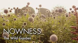 The Wild Garden Piet Ouldolf And His Garden From Nowness Wild Rock Garden Landscaping Grasses Garden