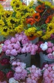 Bargain shopping on harwin drive. Fannin Flower Markets 4800 And 4900 Blocks Of Fannin Flower Market How To Preserve Flowers Fannin