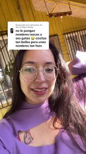 Gato Colo Colo en adopción: ¡Ayúdanos a encontrarle hogar!