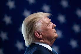 Donald john nobody knew healthcare could be so complicated trump, sr. Donald Trump Barely Pays Any Taxes Will Anyone Care The New Yorker