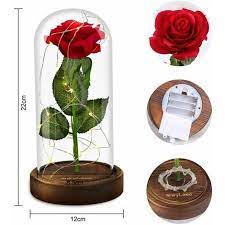 strophe 2 schuldig, ja ich hab' gelogen hab' sie vielleicht auch mal betrogen doch bei jedem kuss auf fremde lippen hab' ich. Ewige Rose Im Glas Rose Die Schone Und Das Biest Rose