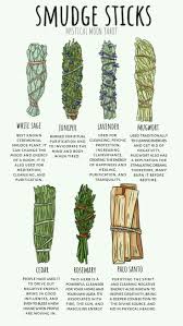 Pin By Daniela Canato On Immagini In 2020 Witchcraft For Beginners Smudge Sticks Witchcraft