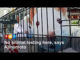 Sebelum tes tulis dimulai, akan ada presentasi singkat dari tim hrd pt ajinomoto indonesia mengenai company profil perusahaan. Peta Mendesak Ajinomoto Untuk Sepenuhnya Menghentikan Uji Coba Hewan Bolu Bubu